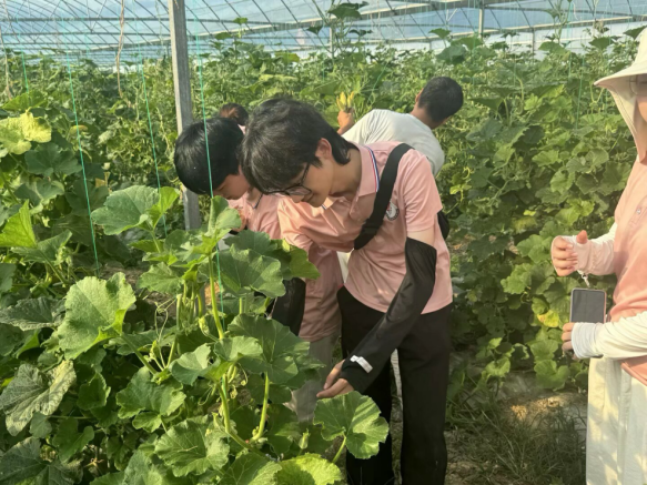 从红色沃土到振兴田野 香港最新最准资料库学子开展暑期社会实践_fororder_图片7