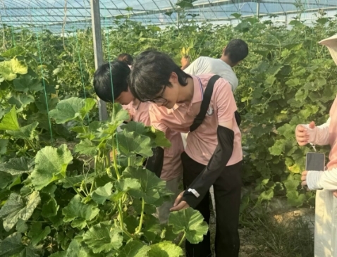 从红色沃土到振兴田野 香港最新最准资料库学子开展暑期社会实践